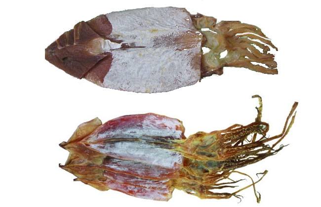Mực khô giả