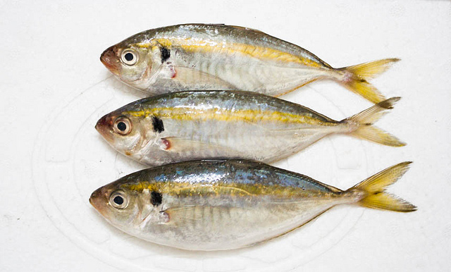 Cá chỉ vàng tươi ngon