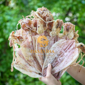 Mực thân mình dày, chắc