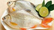 Mẹo làm cá mè hôi – cá cóc sông thơm ngon đậm đà